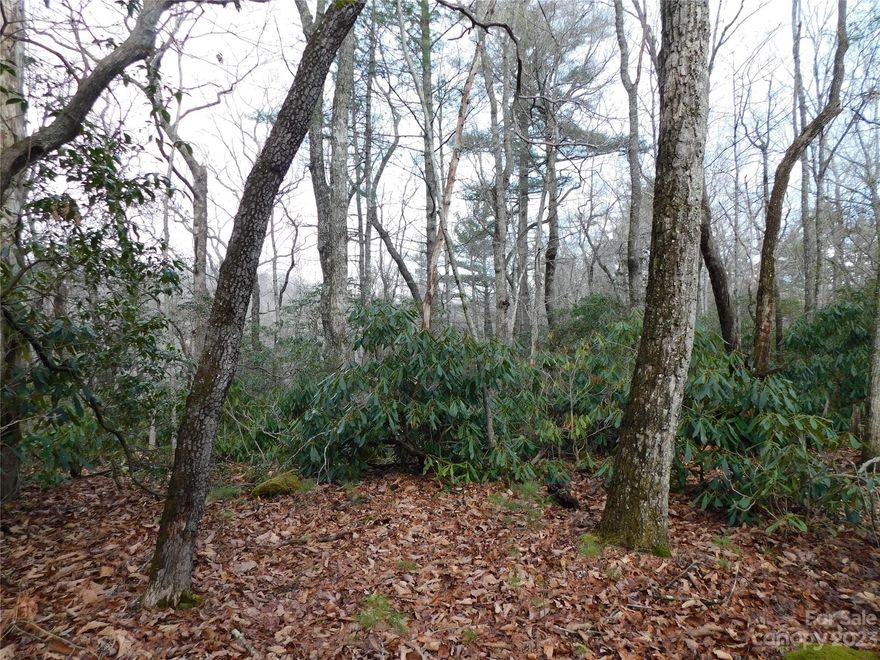 A stunning 20.60-acre tract adjacent to the Blue Ridge Parkway National Forestry Service, just minutes away from Linville Falls, wineries, shopping, and restaurants. This picturesque property with multiple plateaus, great for constructing multiple homes. Enjoy the creek that runs along the opposite side of the road (the headwaters for the North Fork Catawba River), providing an option for RV camping. Situated off State Highway 221, on Gurney Franklin Road, this secluded spot offers the perfect setting for a retreat. Create ATV trails throughout the property and establish your own estate.