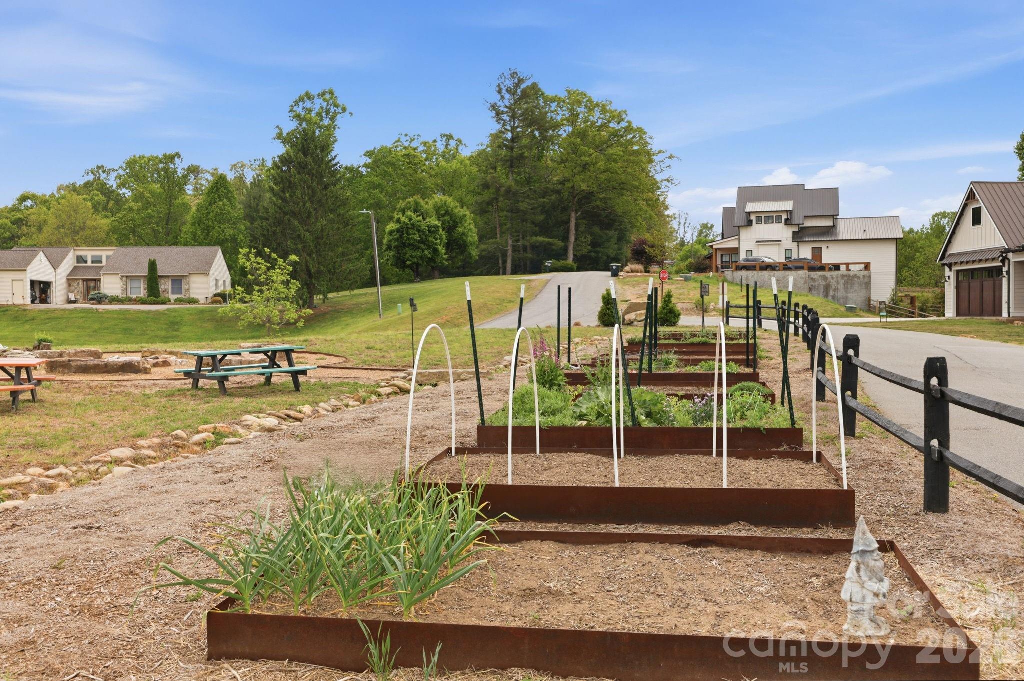 Olivette - Residential