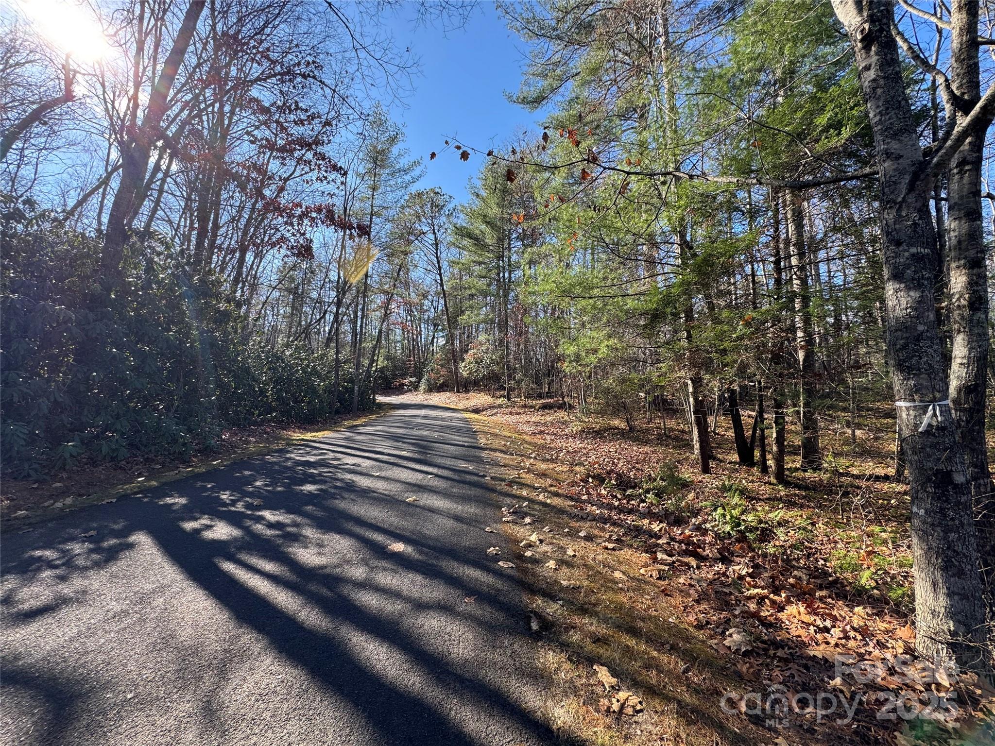 137 Nancy Ashworth Lane 13