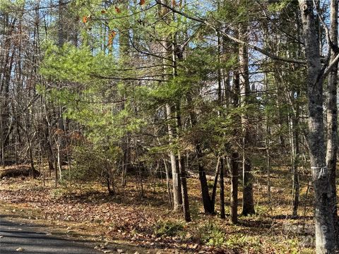 137 Nancy Ashworth Lane 13 Fairview NC 28730