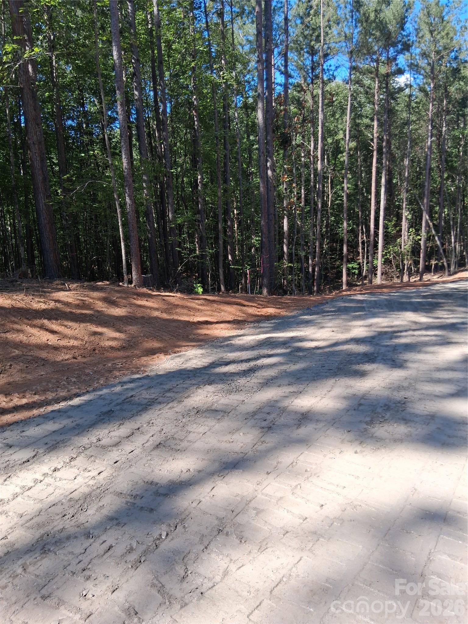 36 Vein Mountain Road 10