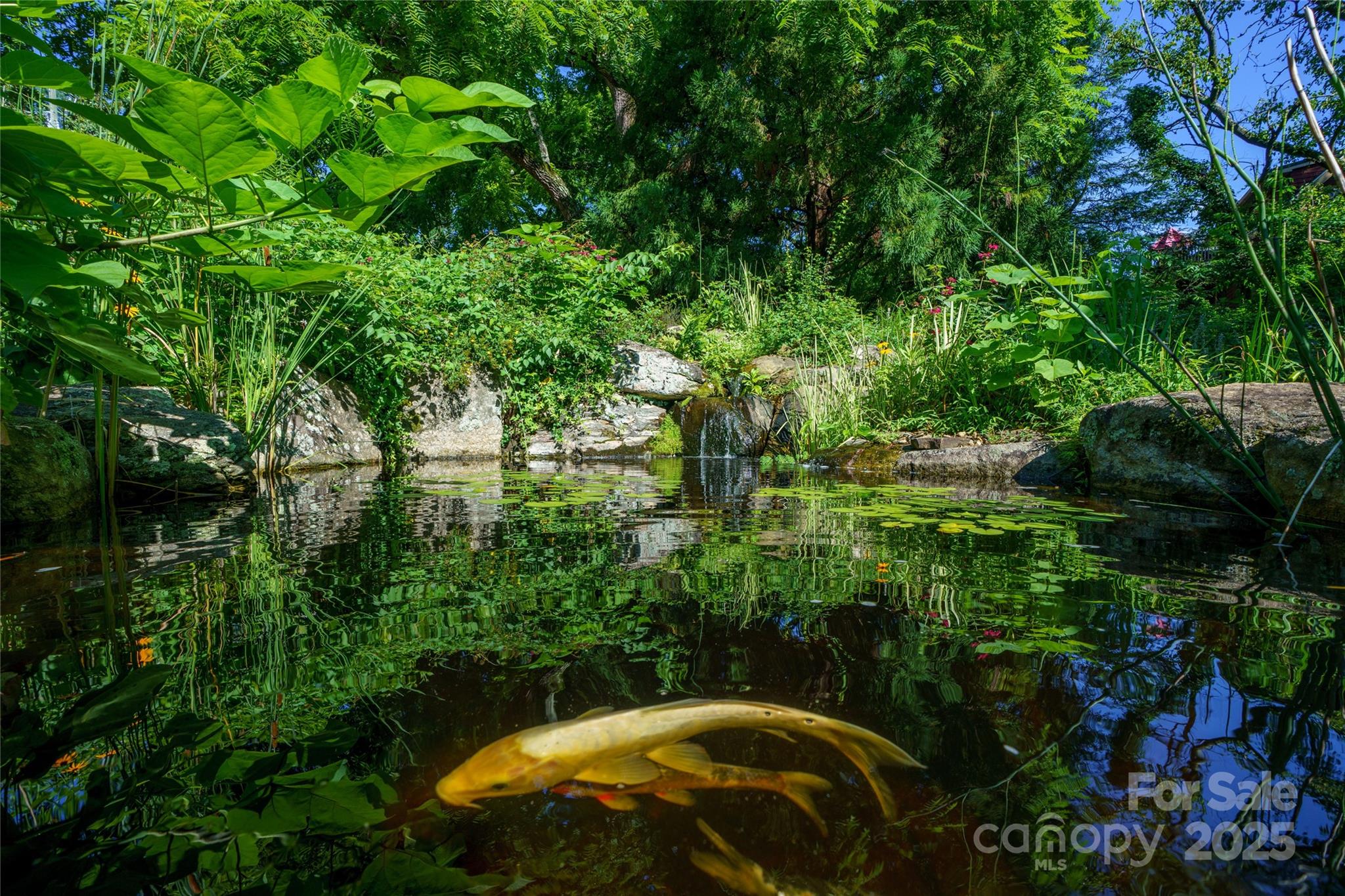 Montford - Residential