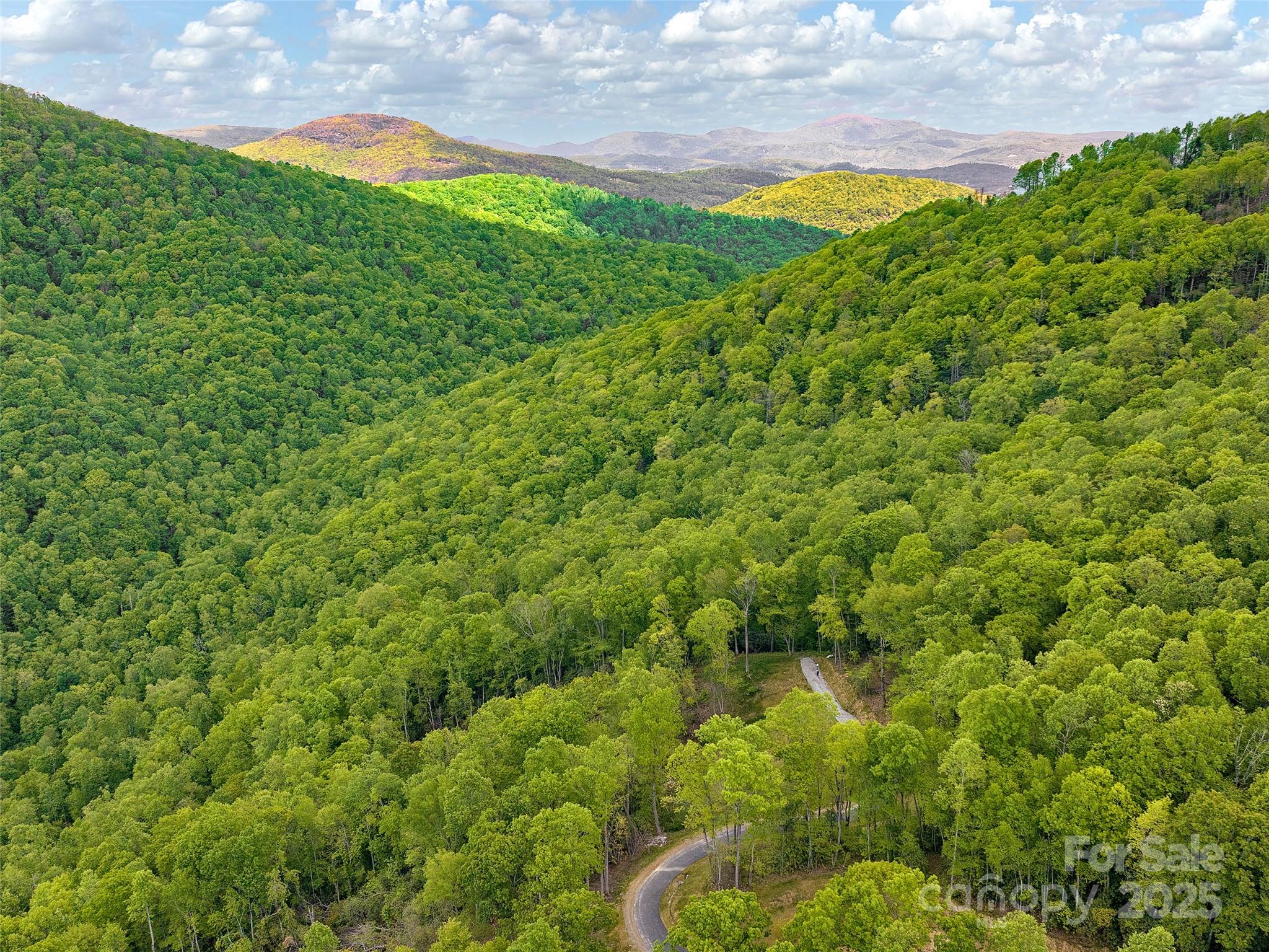 000 Hemlock Grove Trail 51