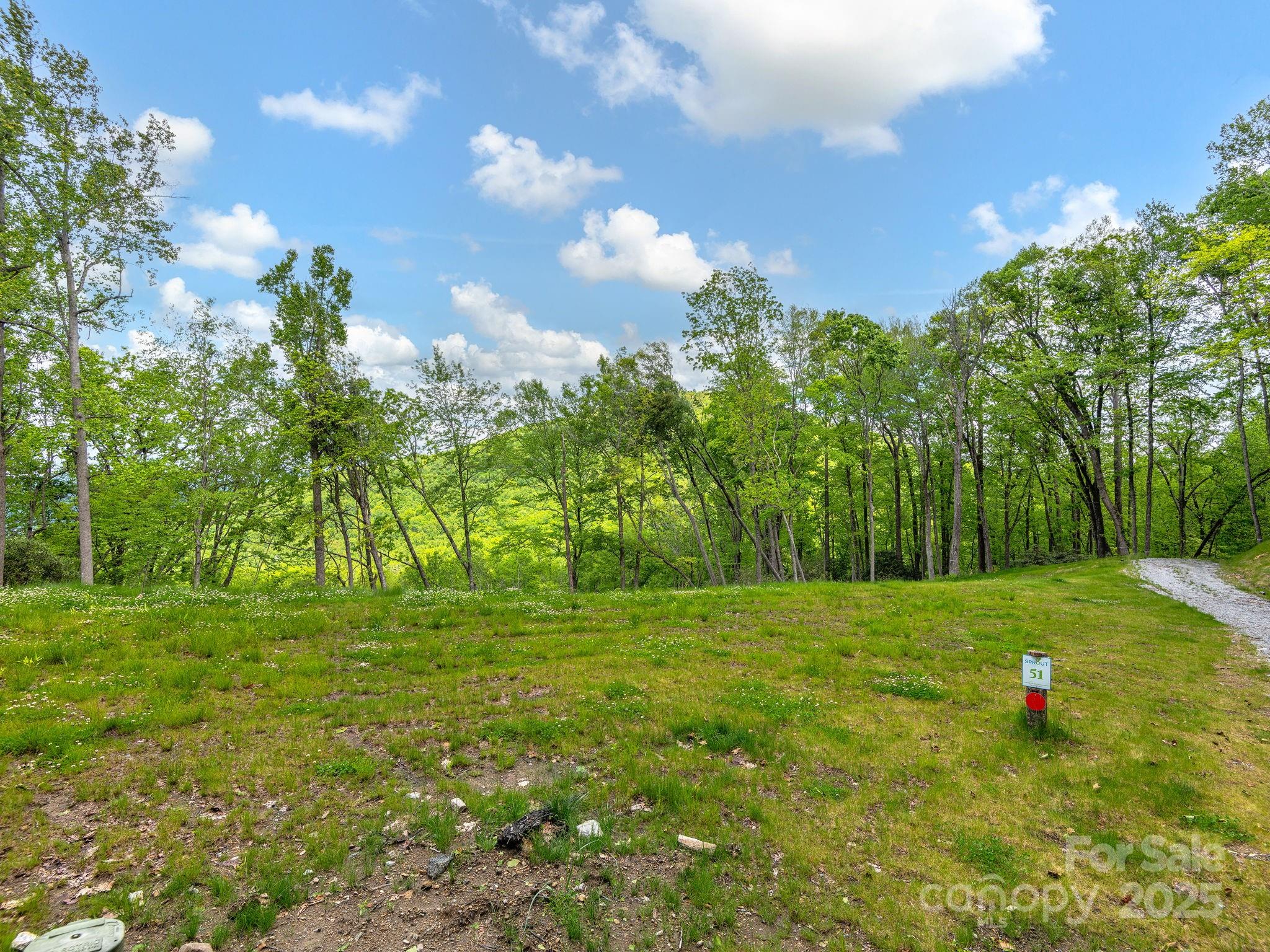 000 Hemlock Grove Trail 51