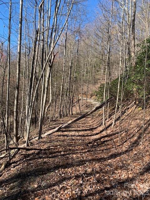 Gateway Mountain - Land