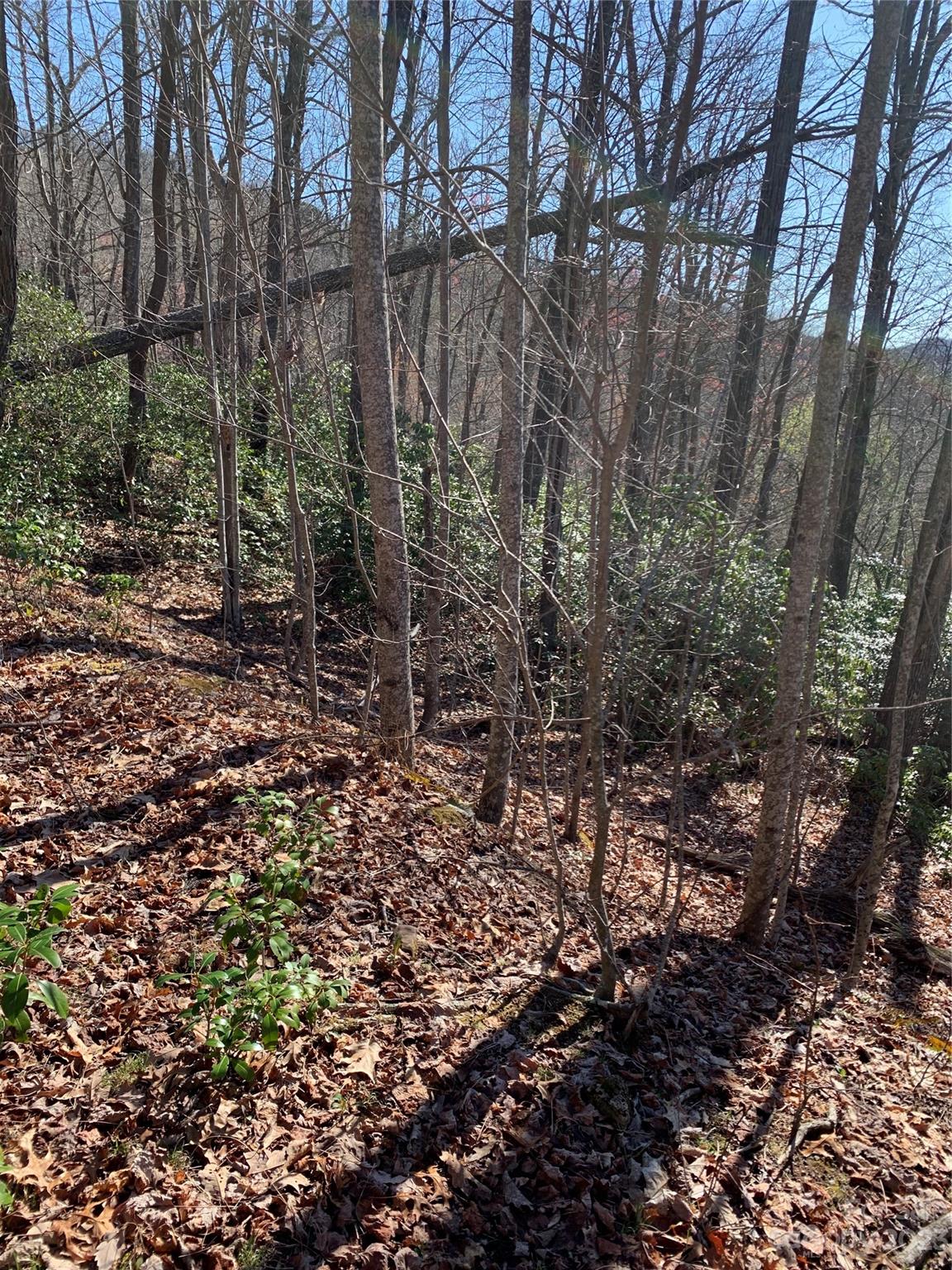 Gateway Mountain - Land