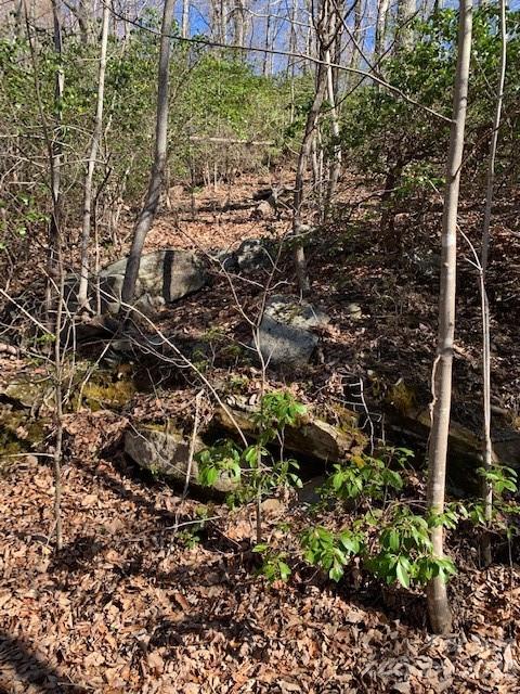 Gateway Mountain - Land