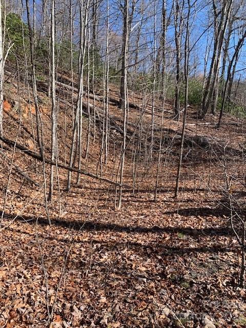 Gateway Mountain - Land