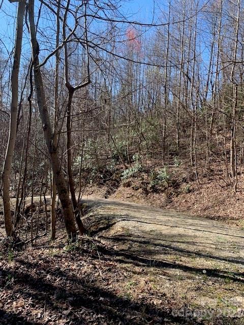 Gateway Mountain - Land