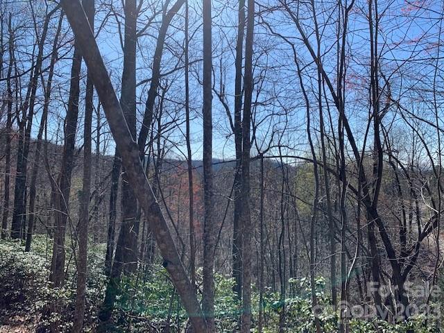 Gateway Mountain - Land