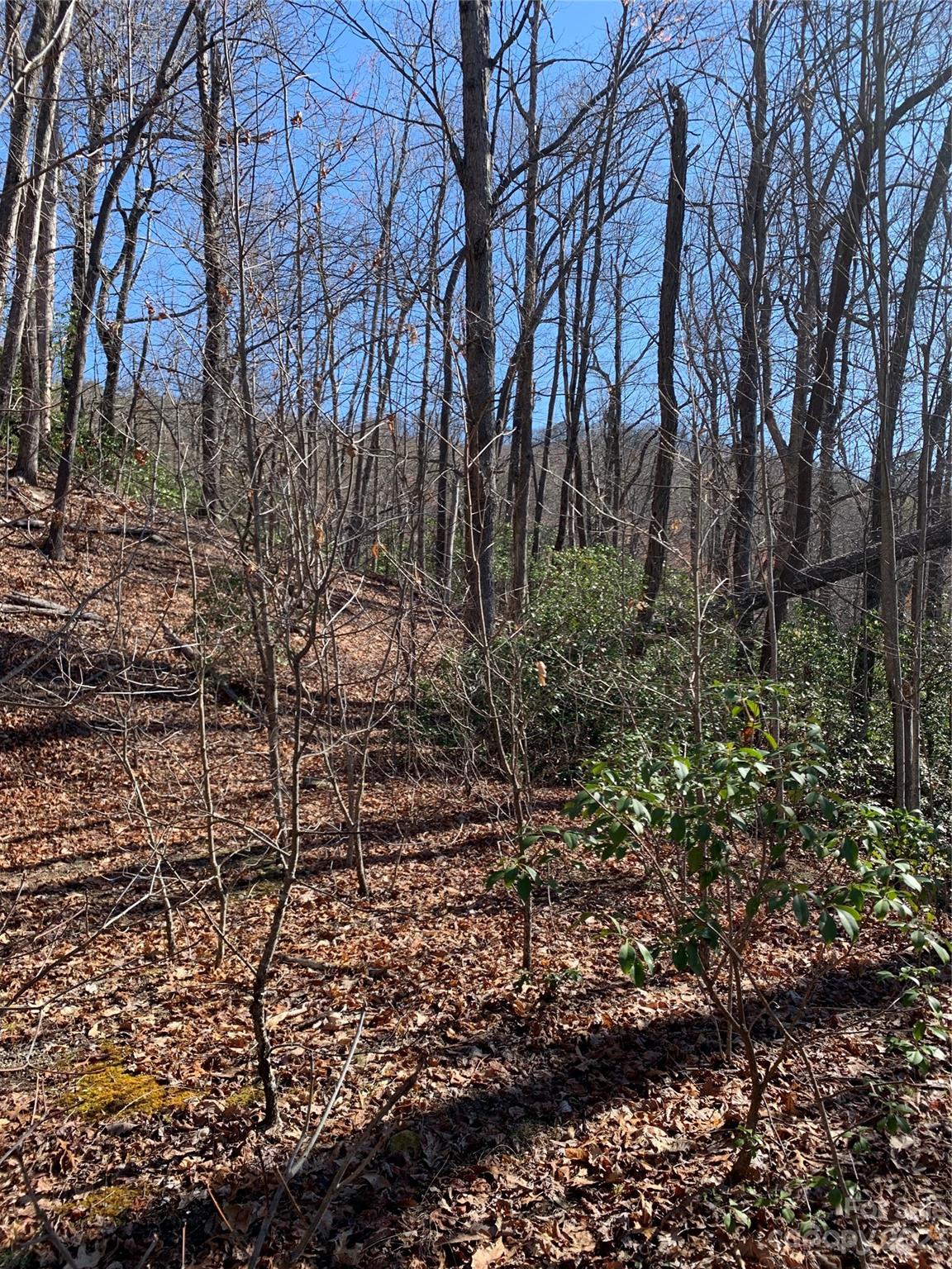 Gateway Mountain - Land