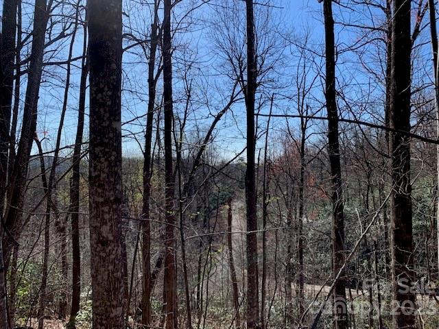 Gateway Mountain - Land