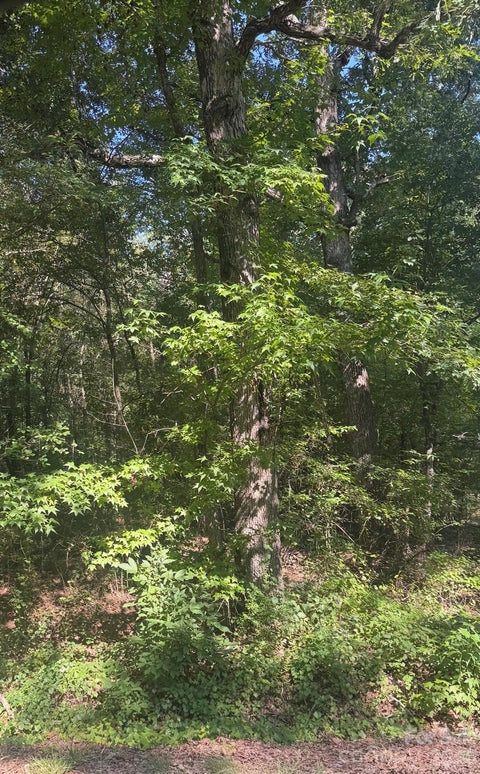 Photo of 000 Sweet Home Church Road, Albemarle, NC 28001 (MLS # 4425434)