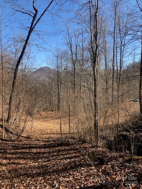 TBD Mountain Brook Road