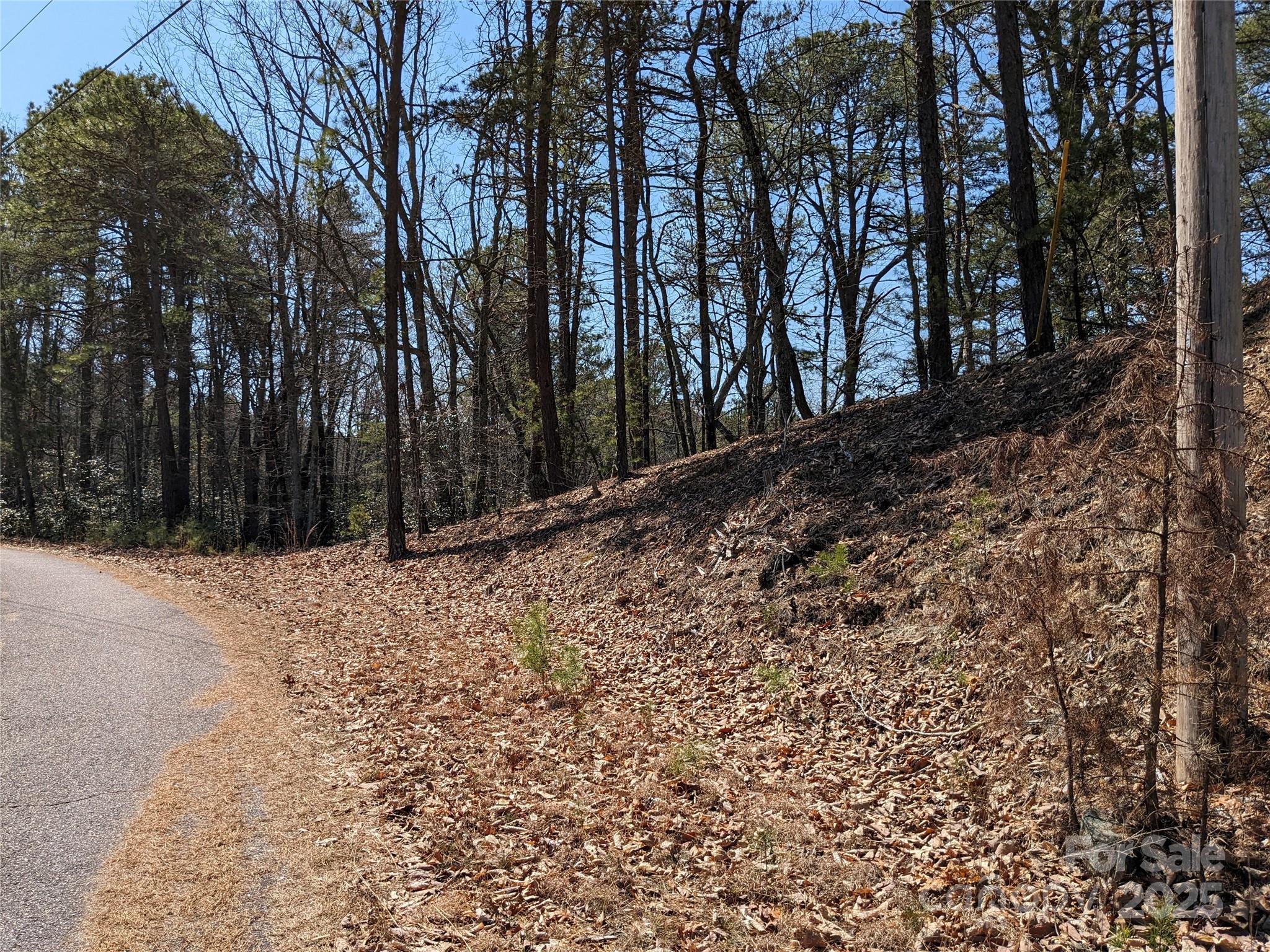 8624 Sleepy Hollow Road 13