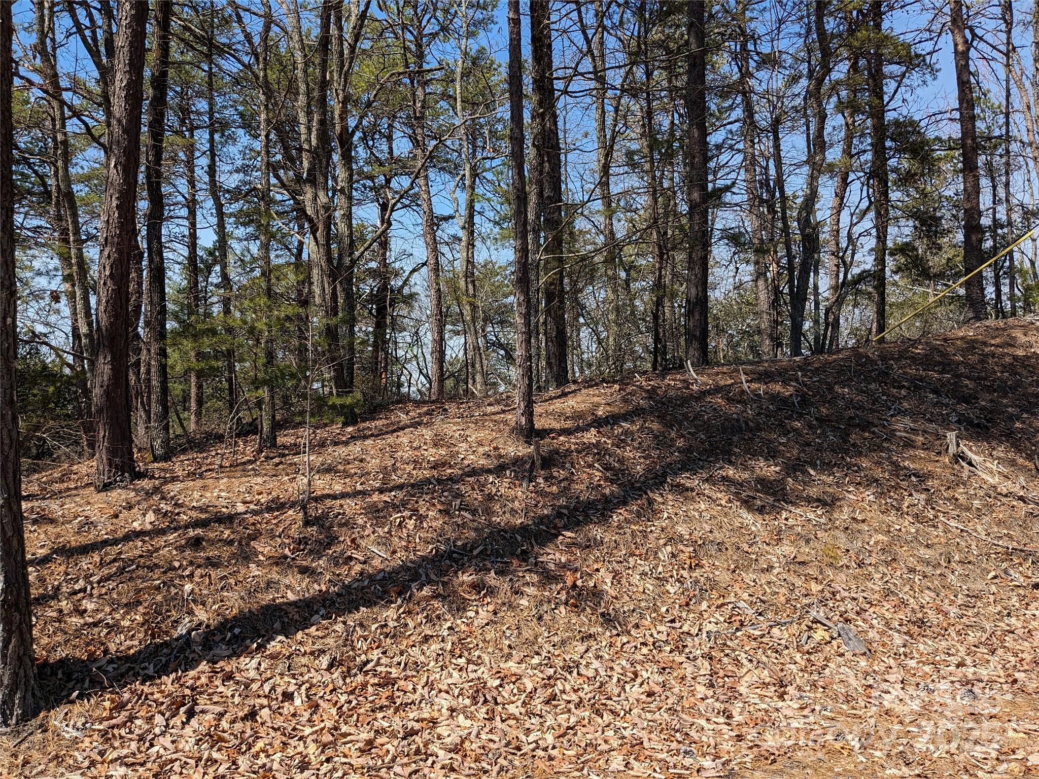 Pine Mountain Lakes - Land