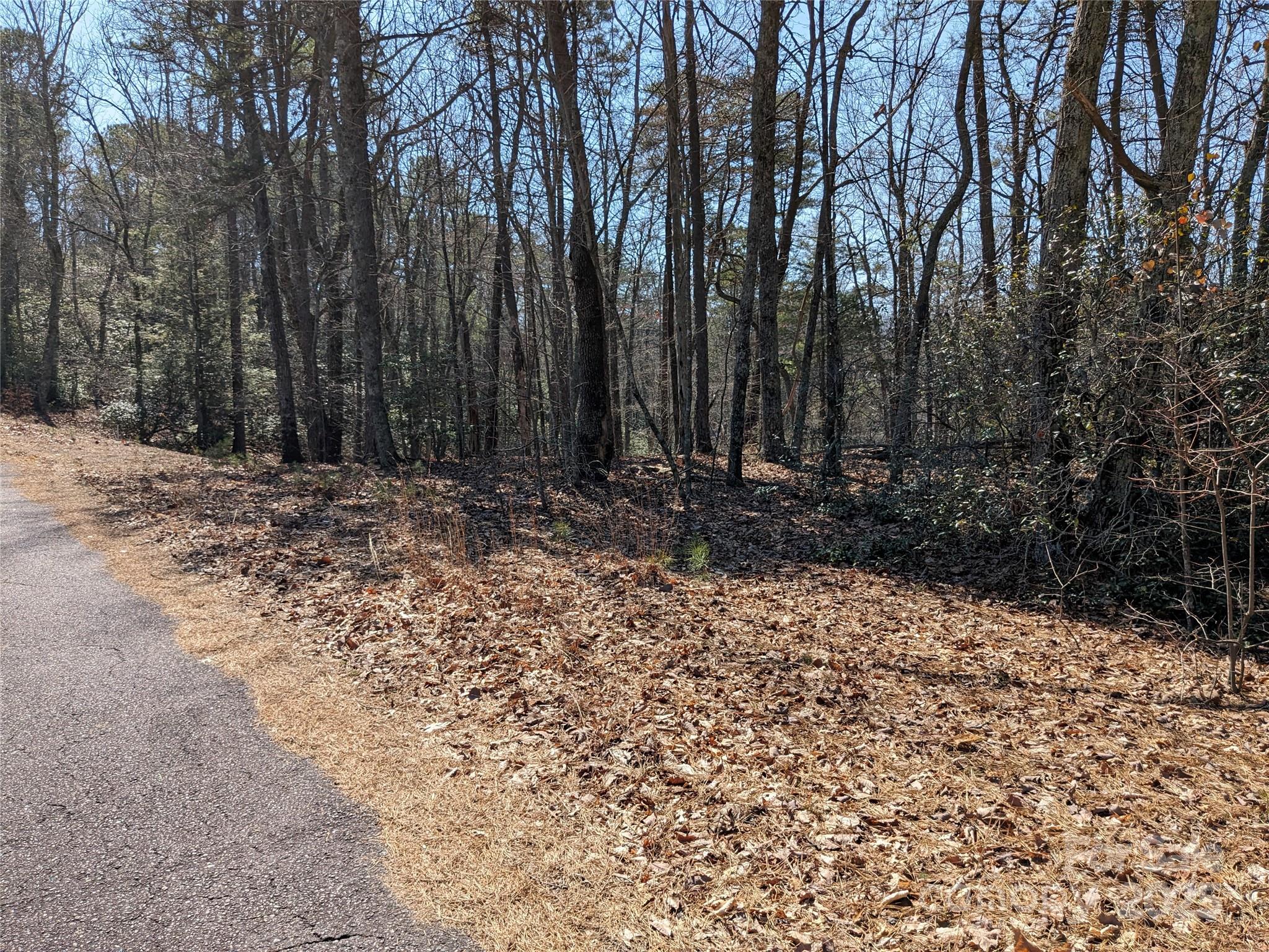 Pine Mountain Lakes - Land