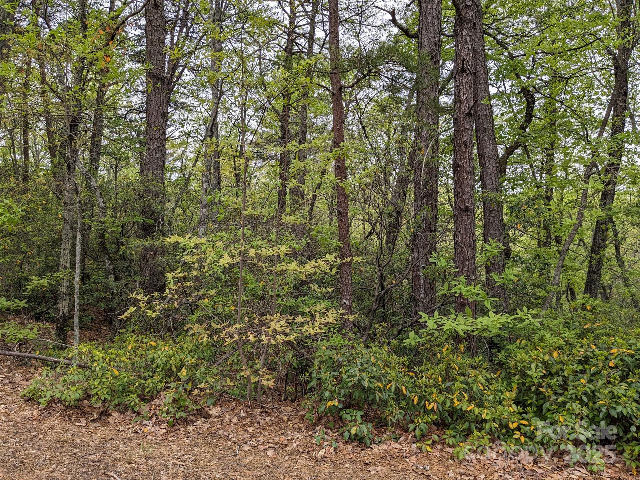 Pine Mountain Lakes - Land