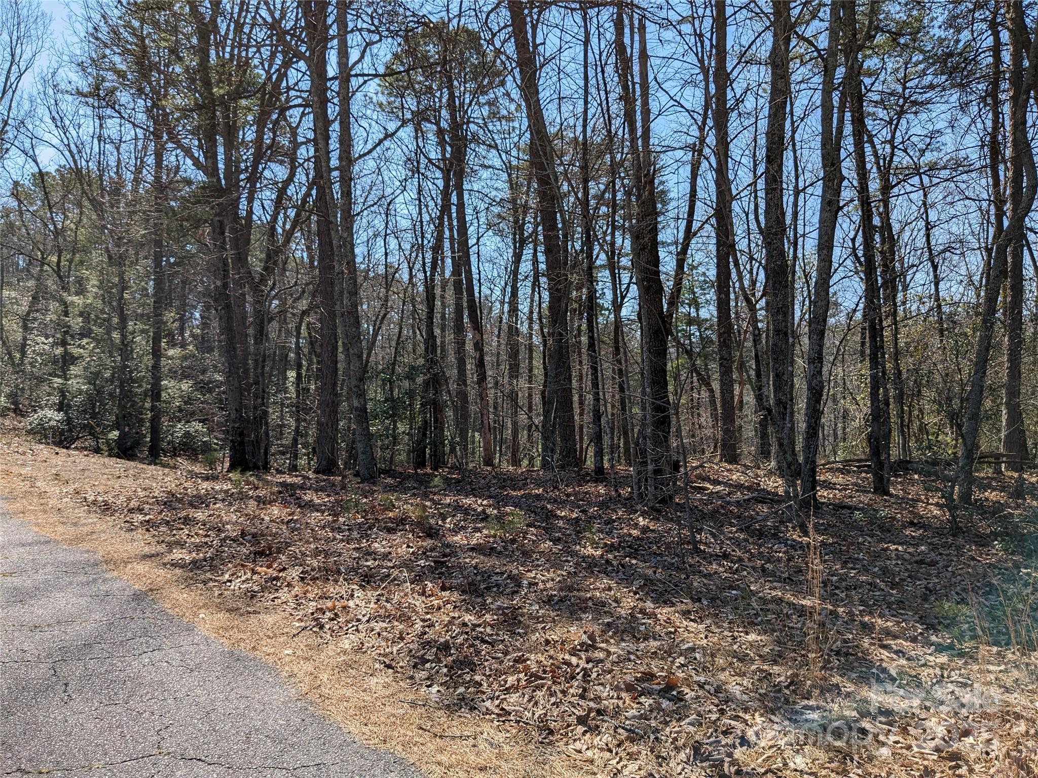 Pine Mountain Lakes - Land