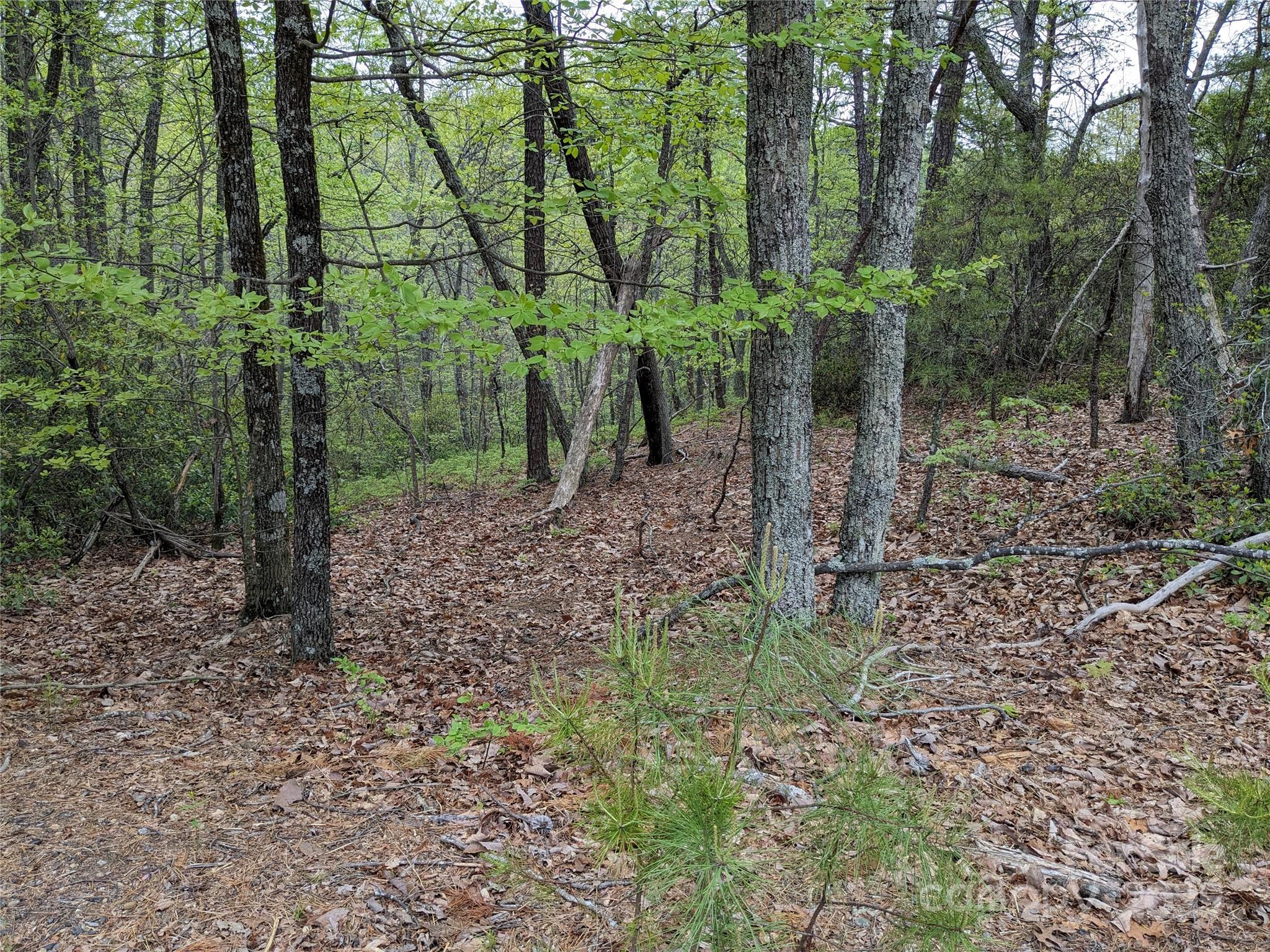 Pine Mountain Lakes - Land