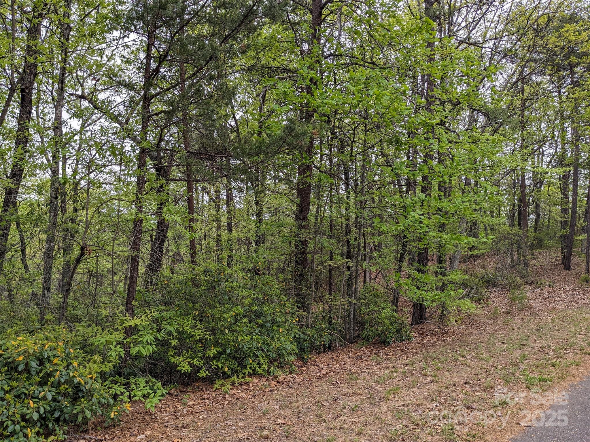 Pine Mountain Lakes - Land