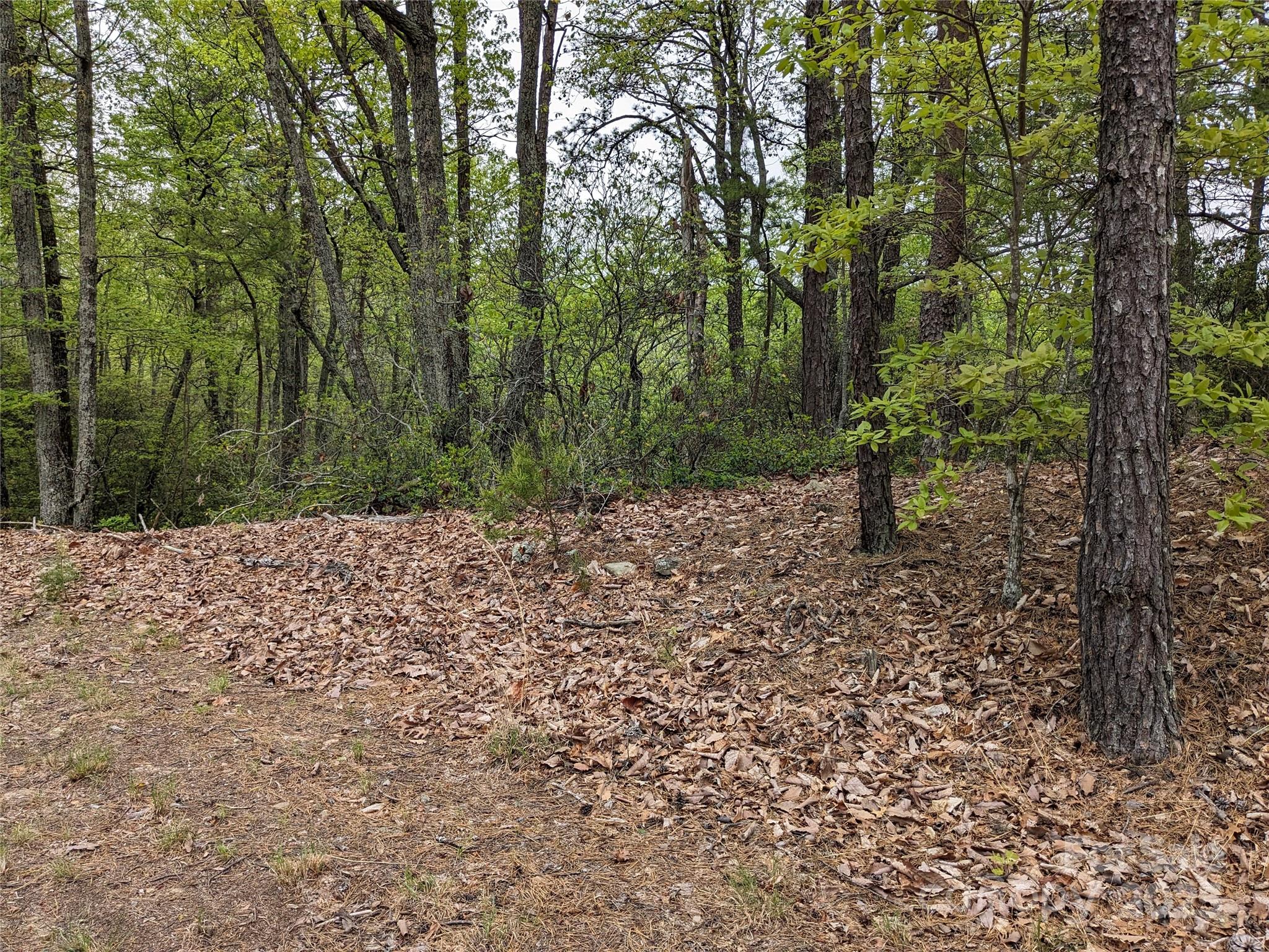 8624 Sleepy Hollow Road 13