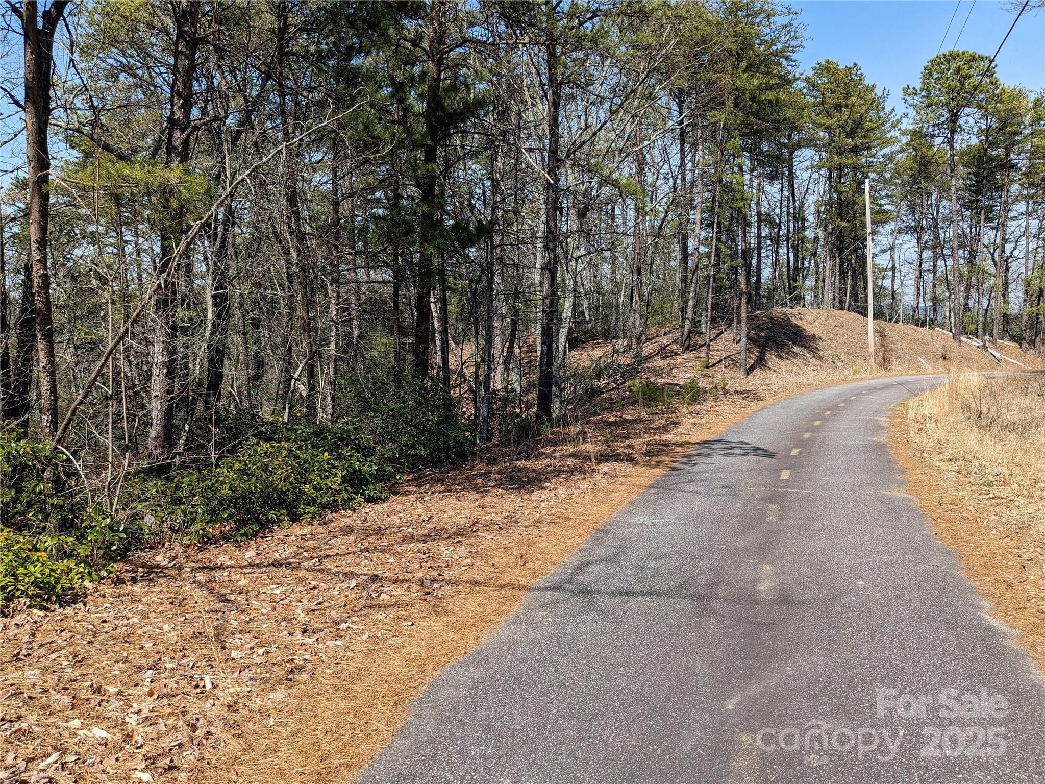 8624 Sleepy Hollow Road 13