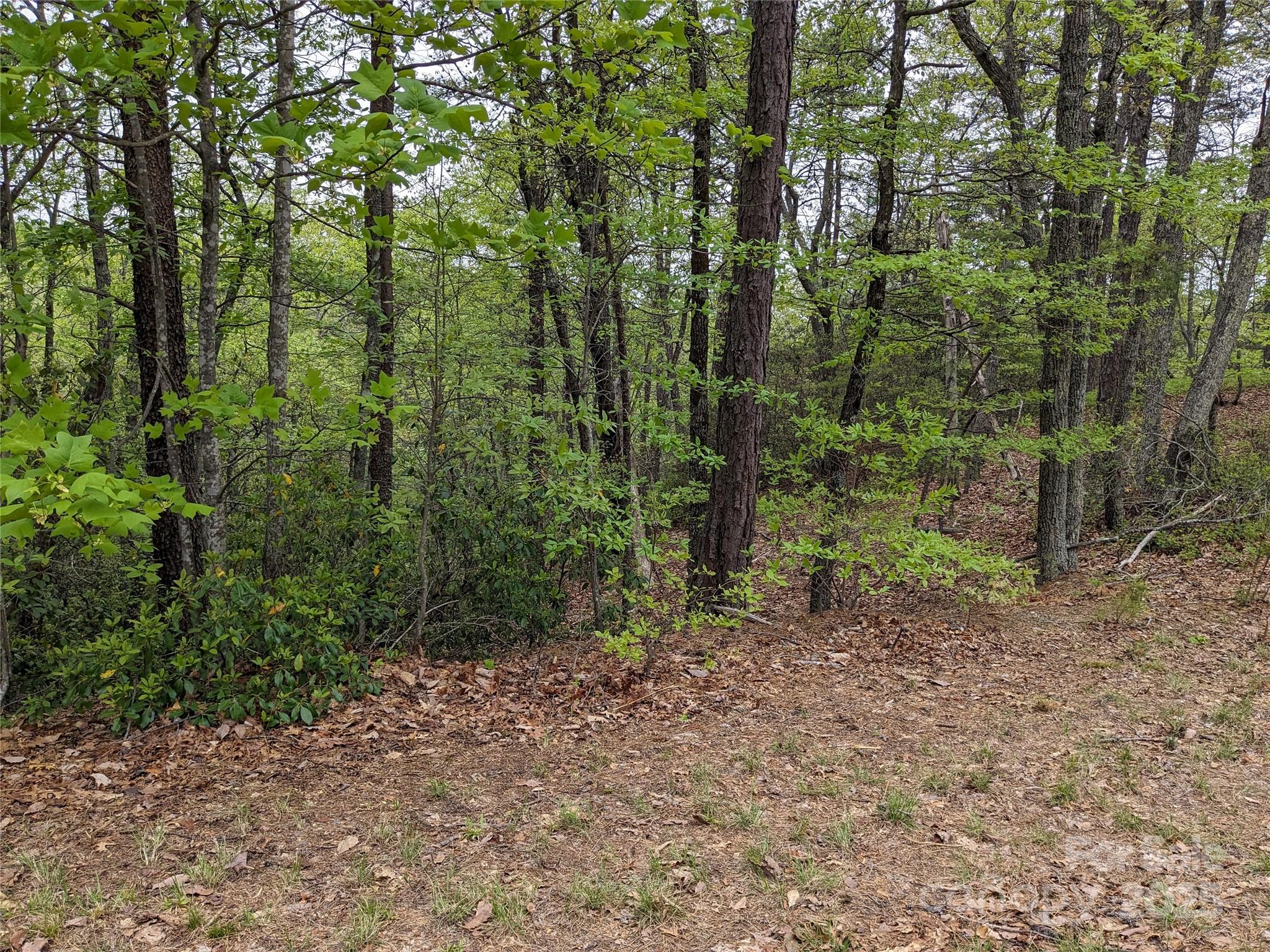 Pine Mountain Lakes - Land