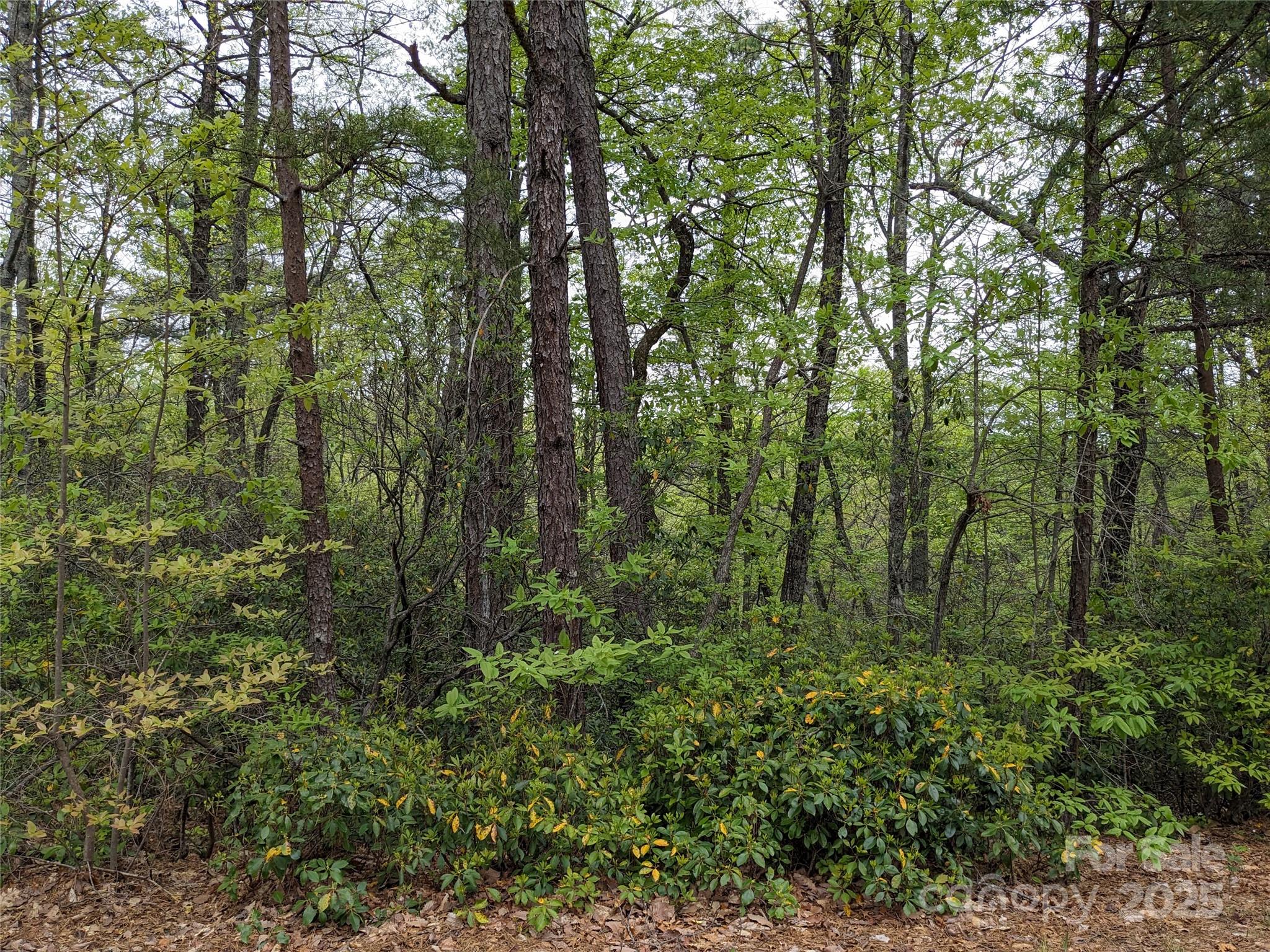 Pine Mountain Lakes - Land