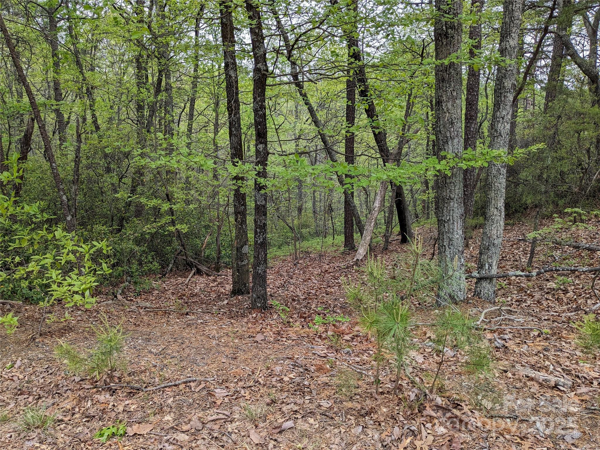 Pine Mountain Lakes - Land