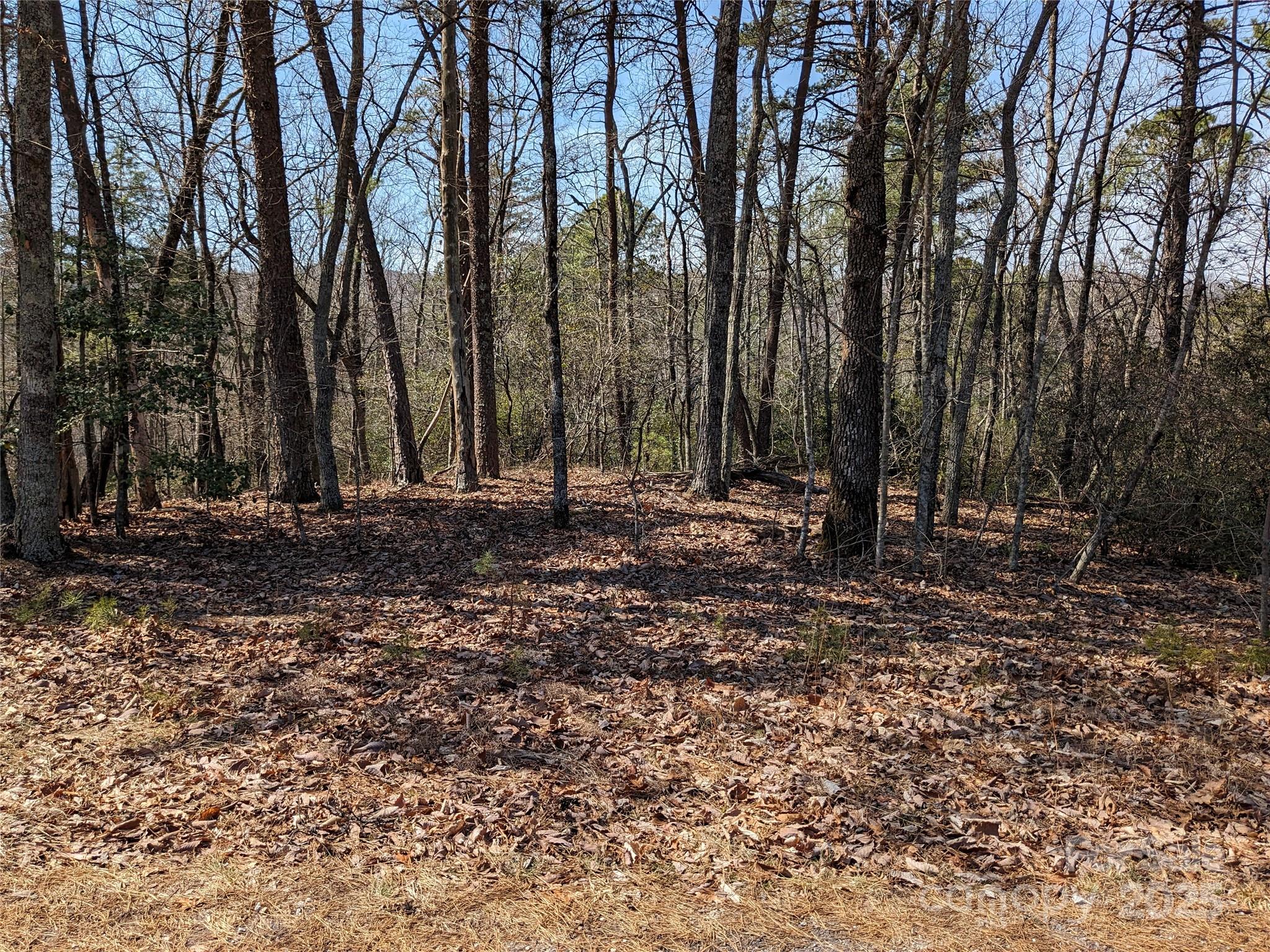 Pine Mountain Lakes - Land