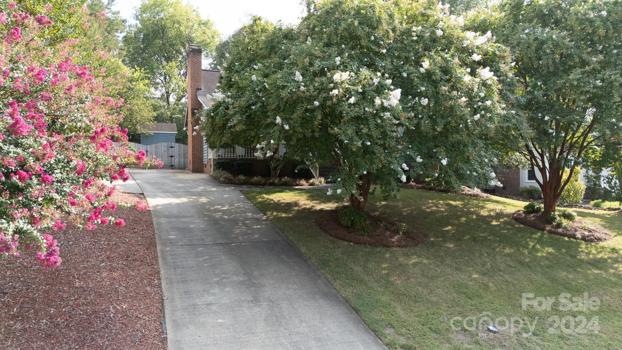 Hidden Forest - Residential