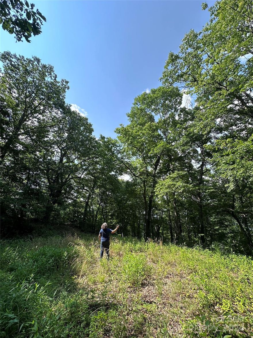 This ten-acre wooded estate lot offers you a rare blend of tranquility & convenience, serving as the perfect canvas for your dream home. Picture a driveway already in place, leading you to a thoughtfully prepared house pad, eliminating any worries about steep slope ordinances. The groundwork is laid, just waiting for your vision to come to life. Nestled in nature, yet just minutes from shopping, dining, & schools, & a mere 25-minute drive to Downtown Asheville, this property truly offers the best of both worlds. You’ll have the peace & privacy you crave. With minimal restrictions & a road maintenance agreement already in place, you have the freedom to design the home that fits your lifestyle, whether it’s a cozy retreat or a spacious getaway. This isn’t just a piece of land; it’s your future sanctuary in the mountains. A place where every day feels like a retreat & the possibilities are as endless as the views. Embrace this opportunity to make the mountains your forever home.