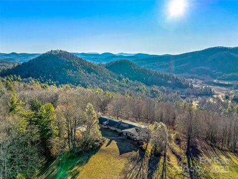 1411 Cabin Creek Road Zirconia NC 28790