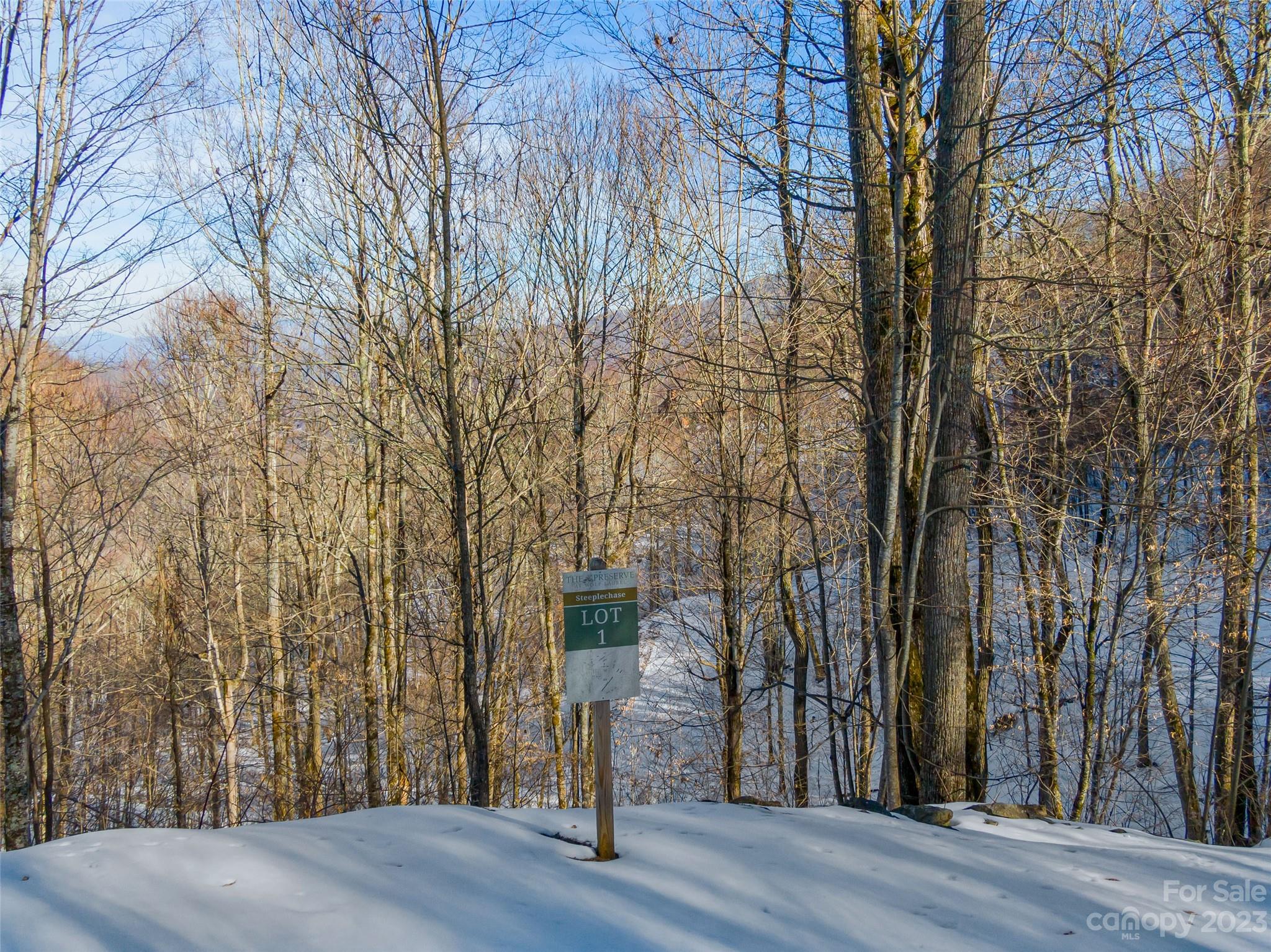 The Preserve at Wolf Laurel - Land