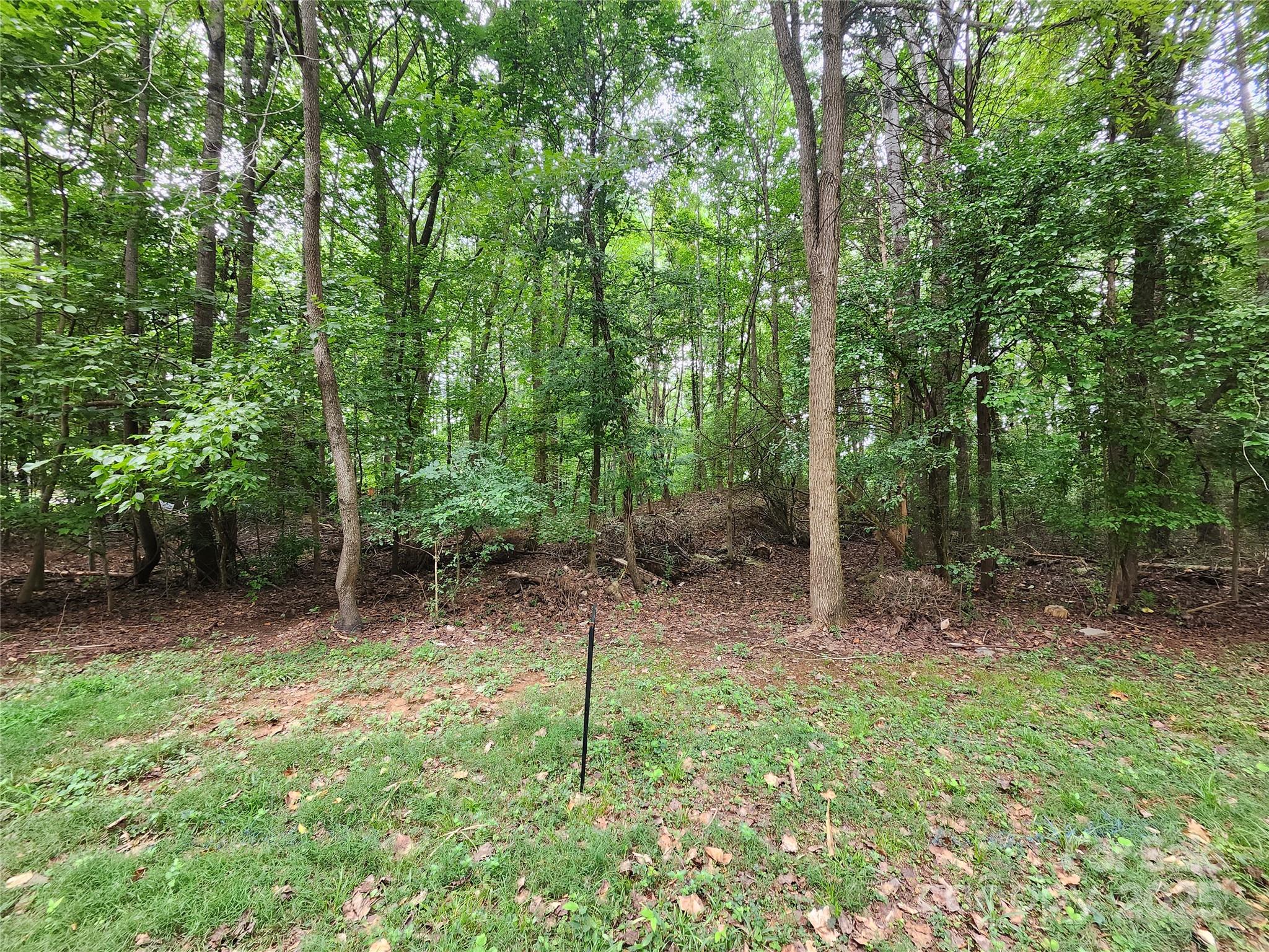 9219 Castle Garden Lane
