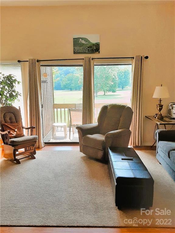 Rumbling Bald on Lake Lure - Residential