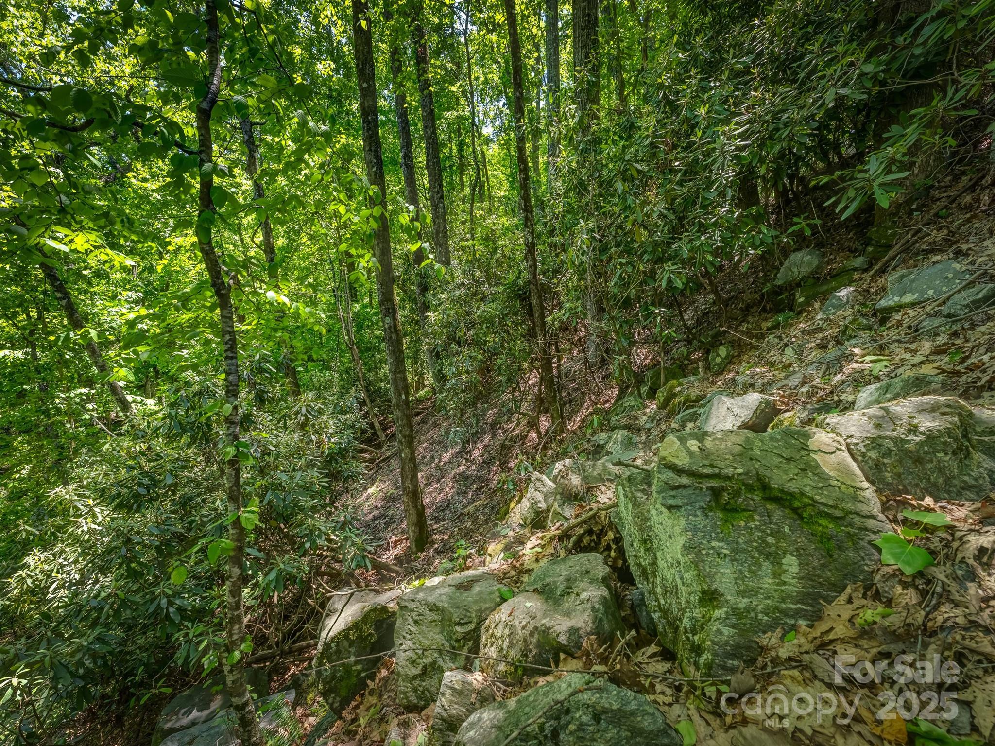 Connestee Falls - Land