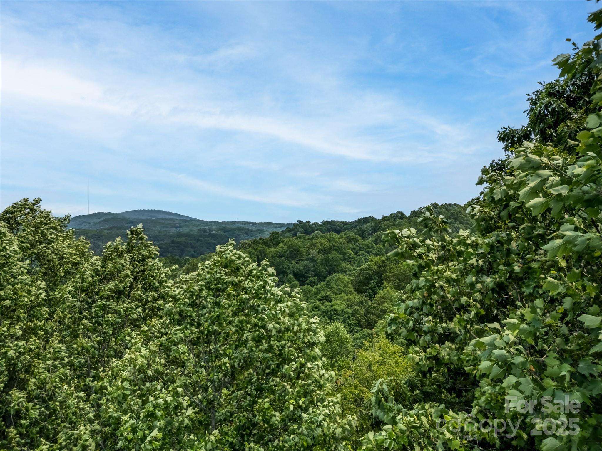 Connestee Falls - Land