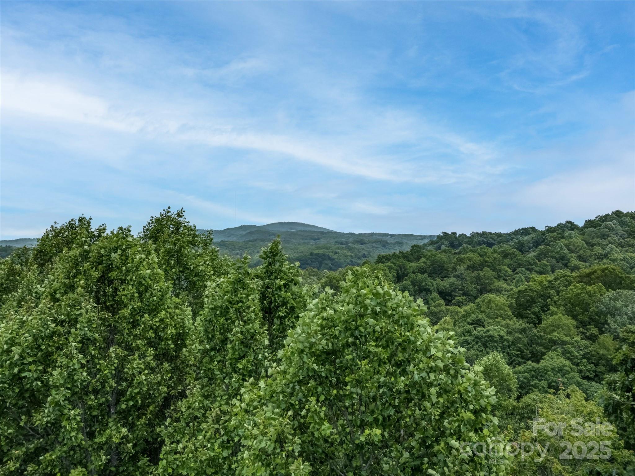 Connestee Falls - Land