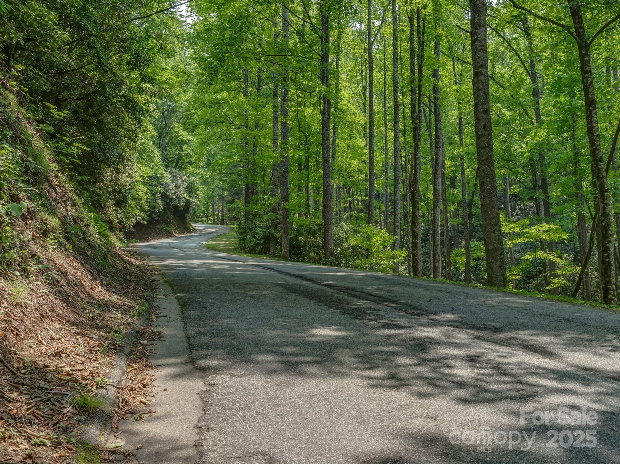 Connestee Falls - Land