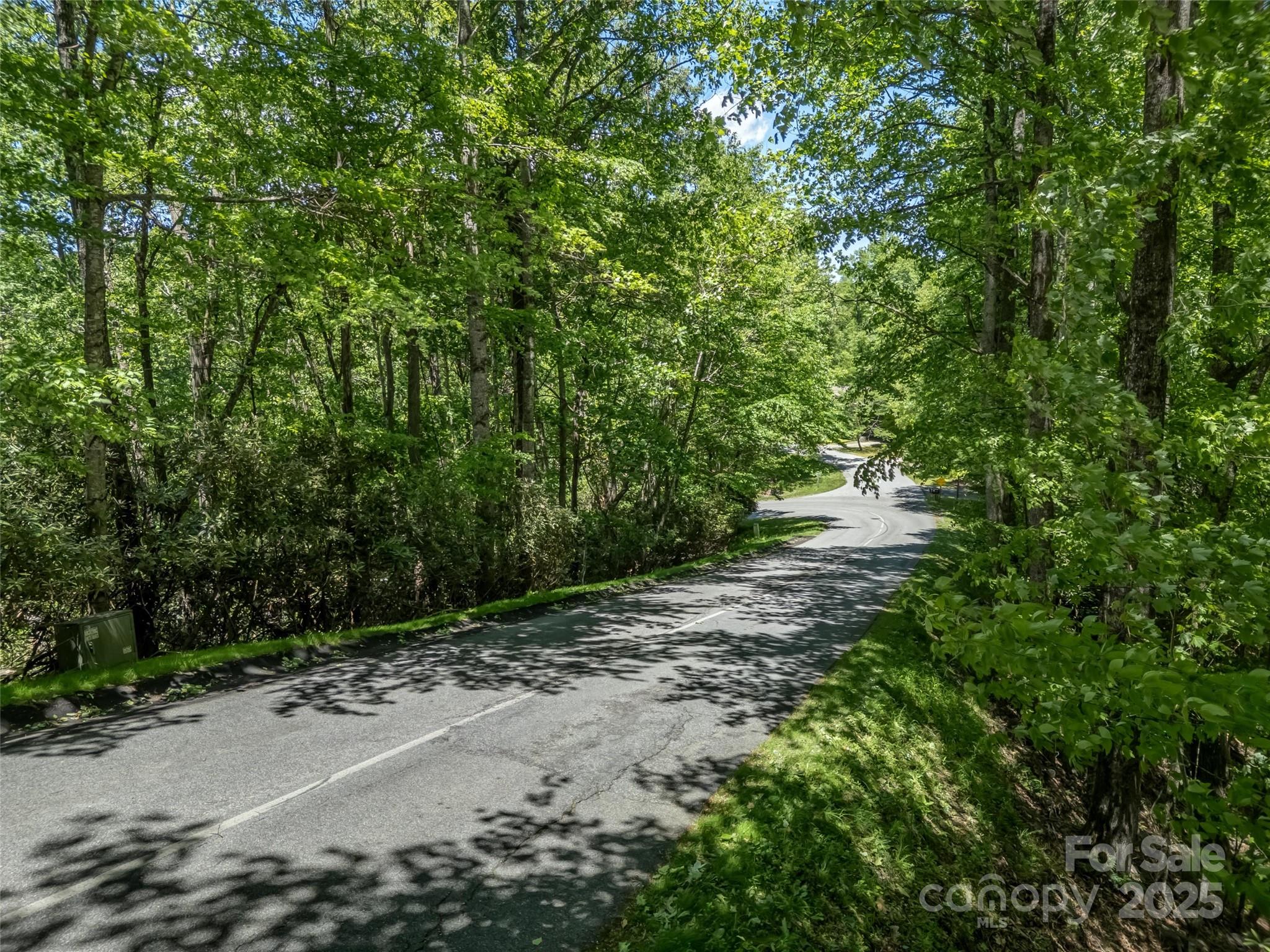 Connestee Falls - Land