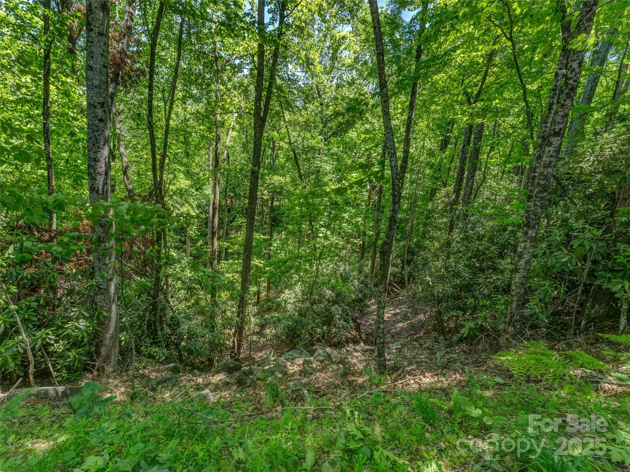 Connestee Falls - Land