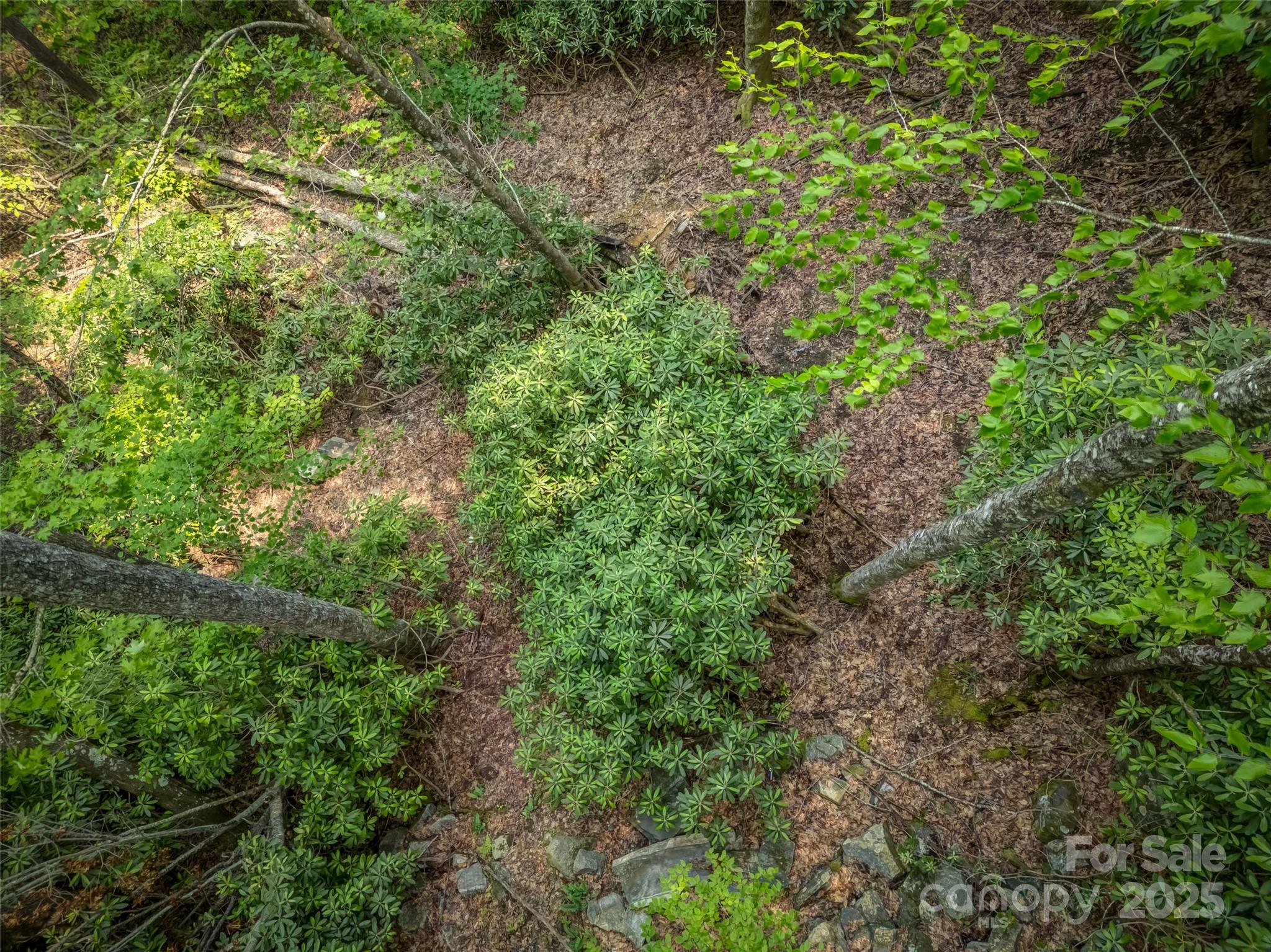 Connestee Falls - Land