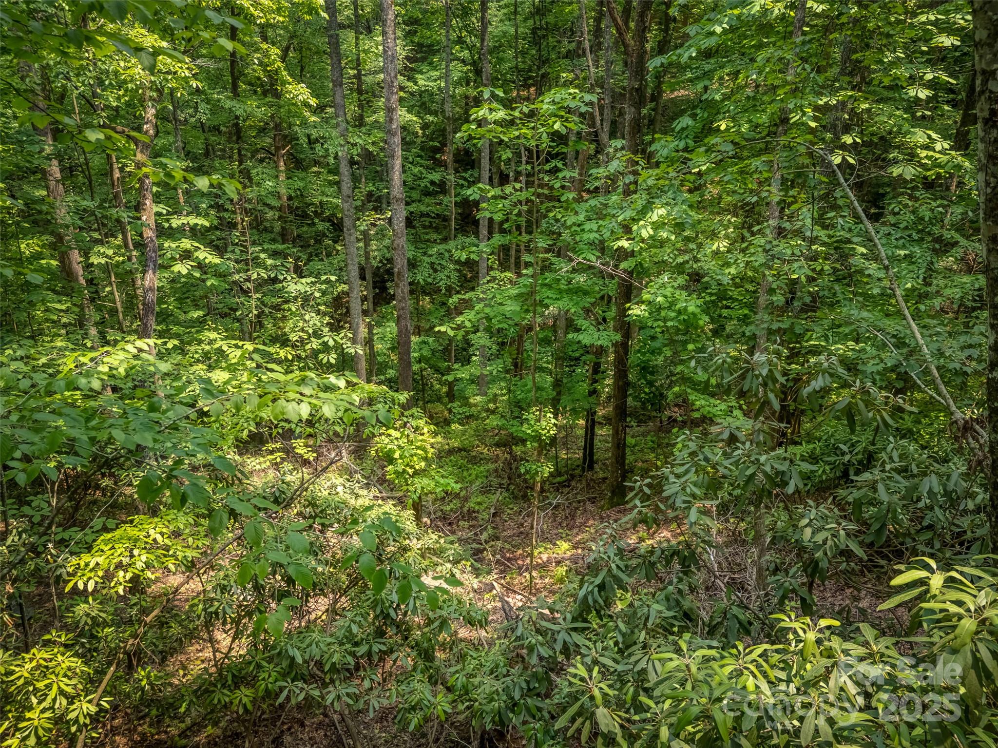 Connestee Falls - Land