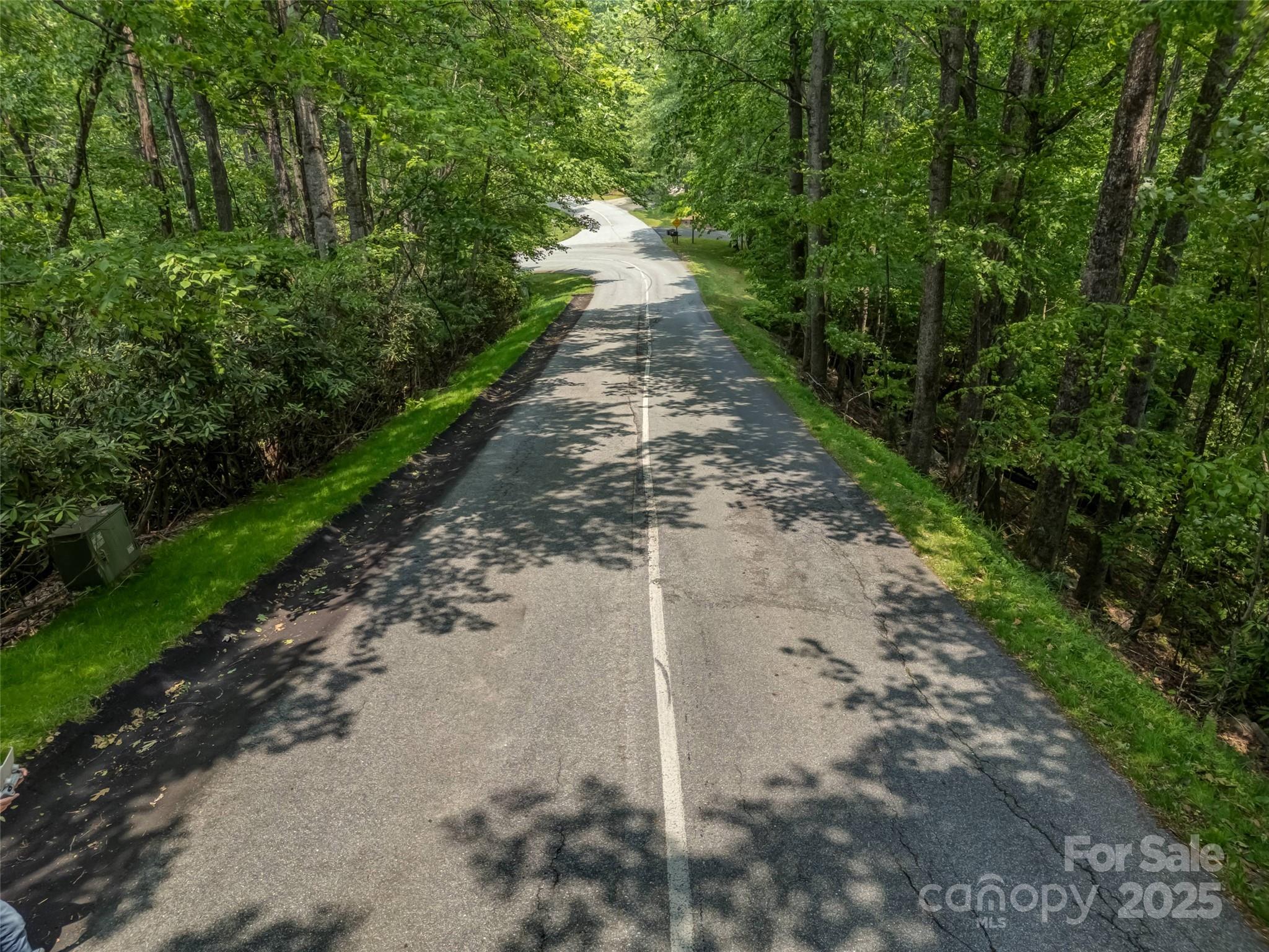 Connestee Falls - Land