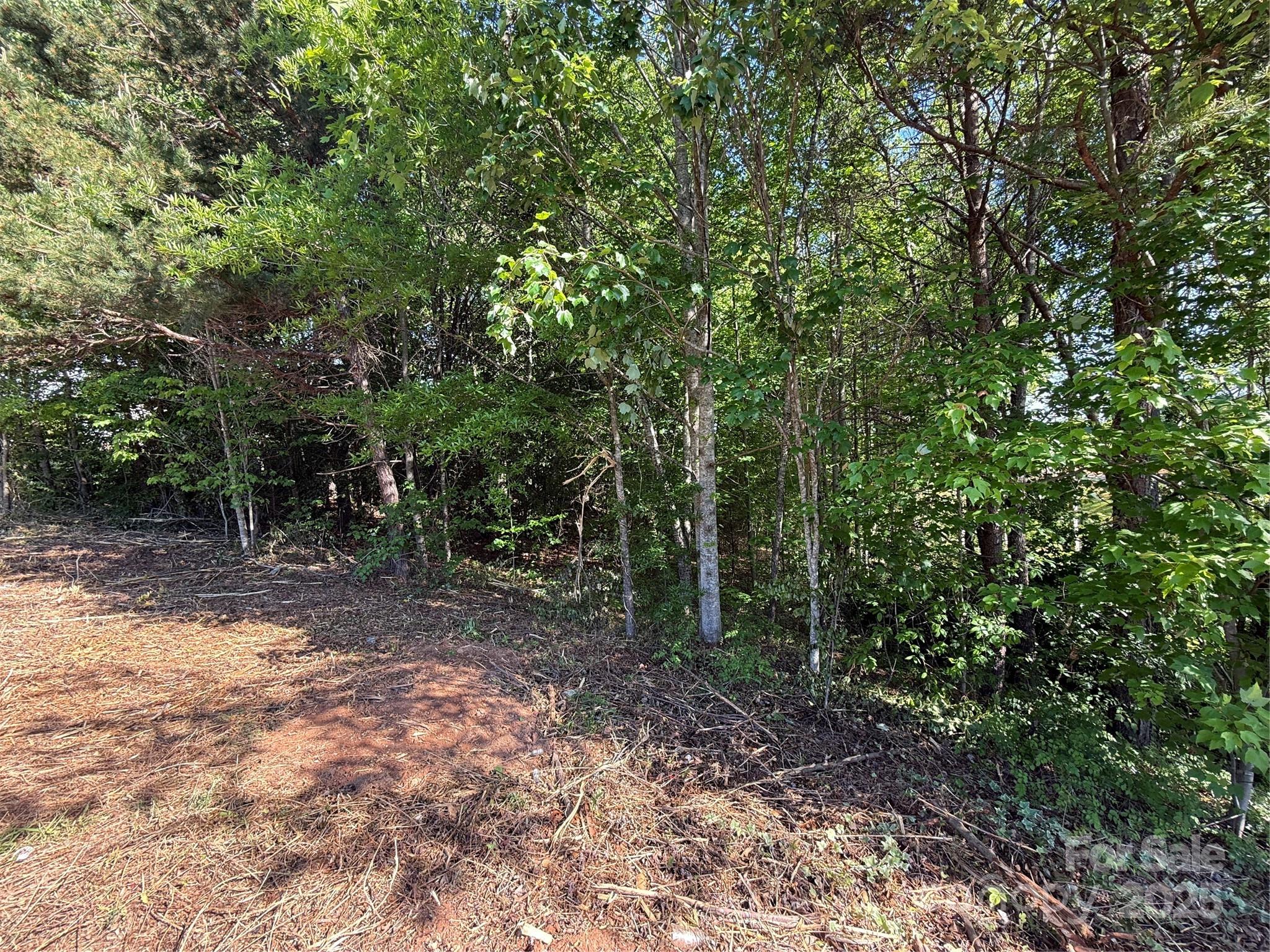 Lot 12 WITTENBURG SPRINGS Drive 012