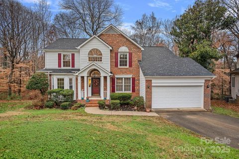 9210 Ivy Brook Court Charlotte NC 28269