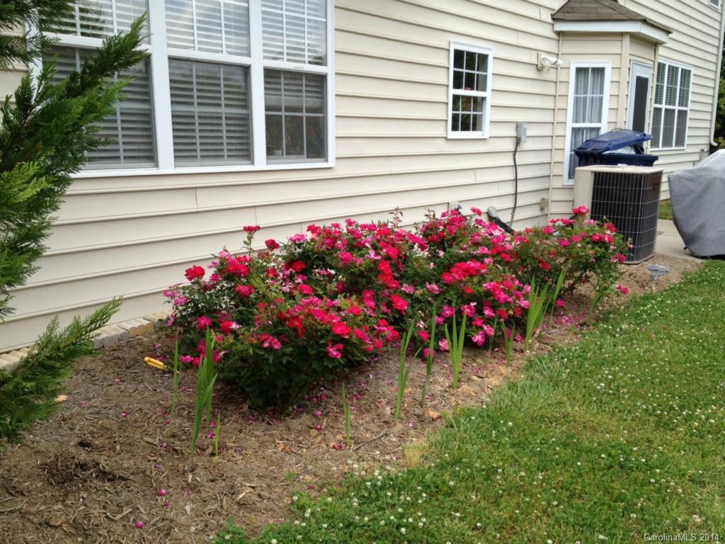 The Reserve - Residential