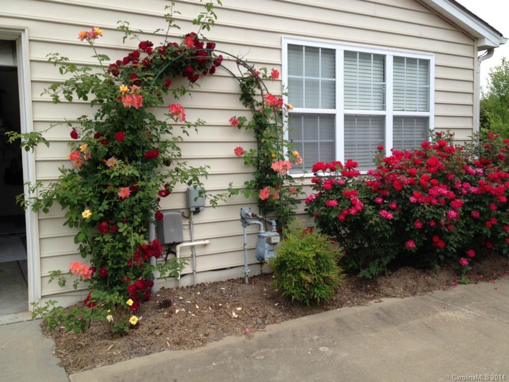 The Reserve - Residential